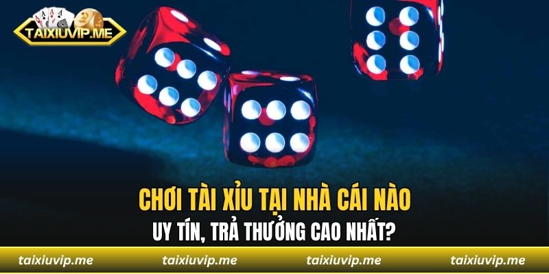 chơi tài xỉu tại nhà cái nào